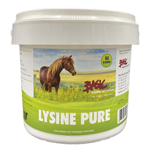 Basic Lysine