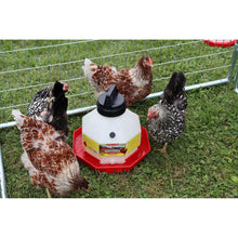 5 Gallon Top Fill Plastic Poultry Fount