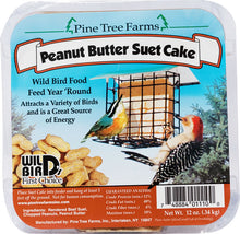 3lb Peanut Butter Suet Cake Case - SO