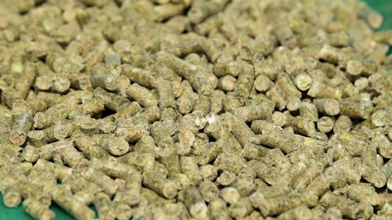 Brooks Leading Edge Pelleted