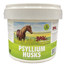 Basic Psyllium Husk