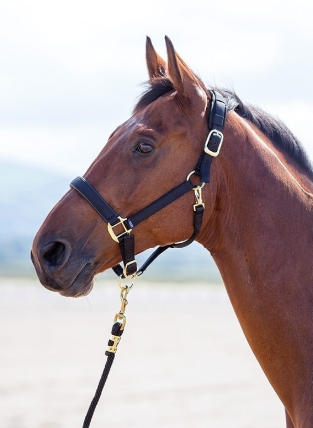 Shires Nylon Breakaway Halter- Large Horse