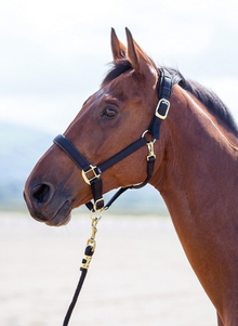 Shires Nylon Breakaway Halter- Large Horse