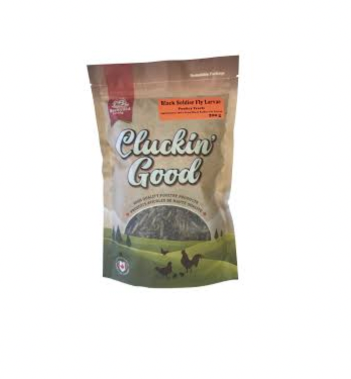 Cluckin' Good Black Soldier Fly Larvae