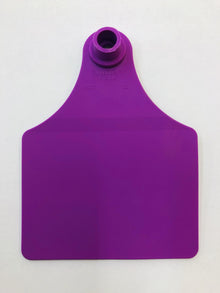 Single Purple Large Allflex Tag