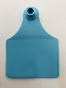 Single Blue Large Allflex Tag
