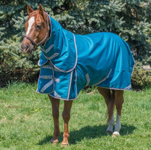 Canadian Horsewear Atlantis Diablo 300gm