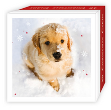 Christmas Pups Card - Single