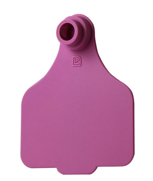 Leader Large Tags (25pk)