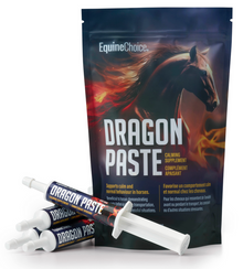 Dragon Paste calming supplement 4x30ml