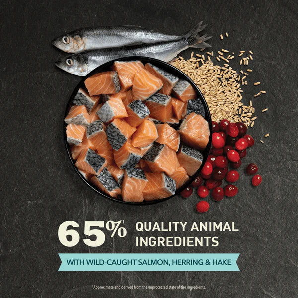 Acana Dry Cat Food-Bountiful Catch