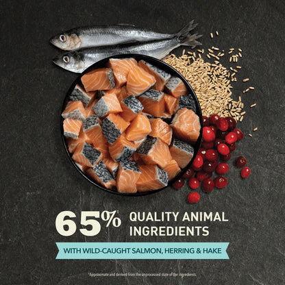 Acana Dry Cat Food-Bountiful Catch