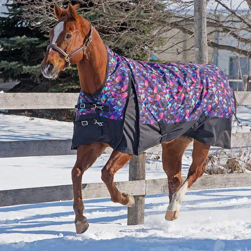 Canadian Horsewear Coolmax Liner Diablo Rainsheet