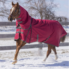 Canadian Horsewear Diablo Habanera Turnout w/ Neck, 300gm Fill