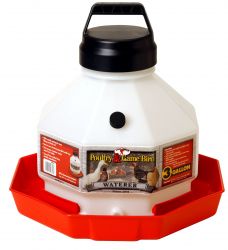 3 Gallon Top Fill Plastic Poultry Fount