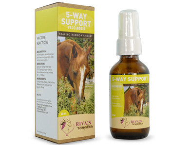Rivas 5-Way Support