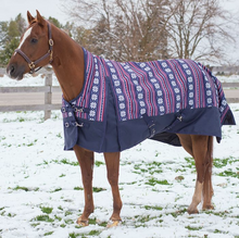 Canadian Horsewear Cardigan Turnout, 300gm Fill