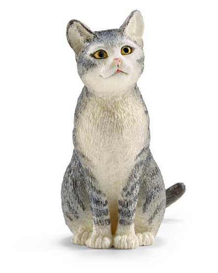 Grey Sitting Cat