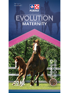 Purina Evolution Maternity 20kg