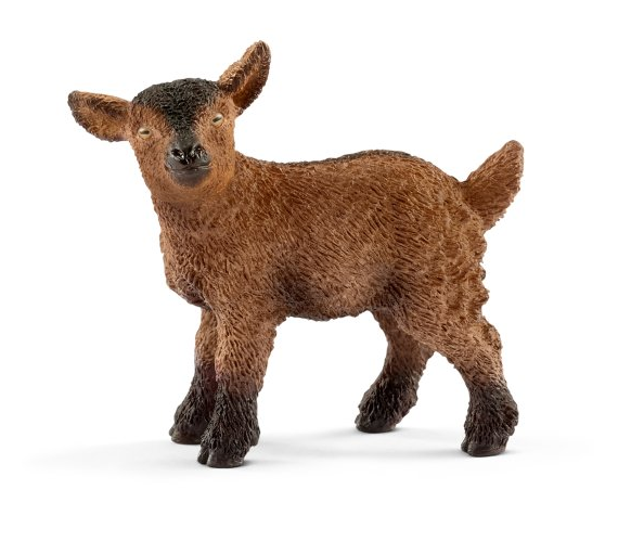 Brown Goat Kid