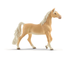 American Saddlebred Mare