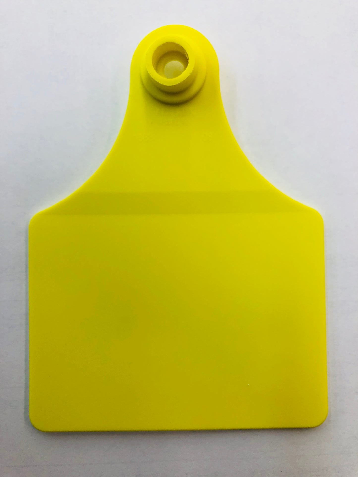 Allflex Tag