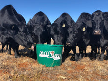 CattlActive 20% Tub, 250lb