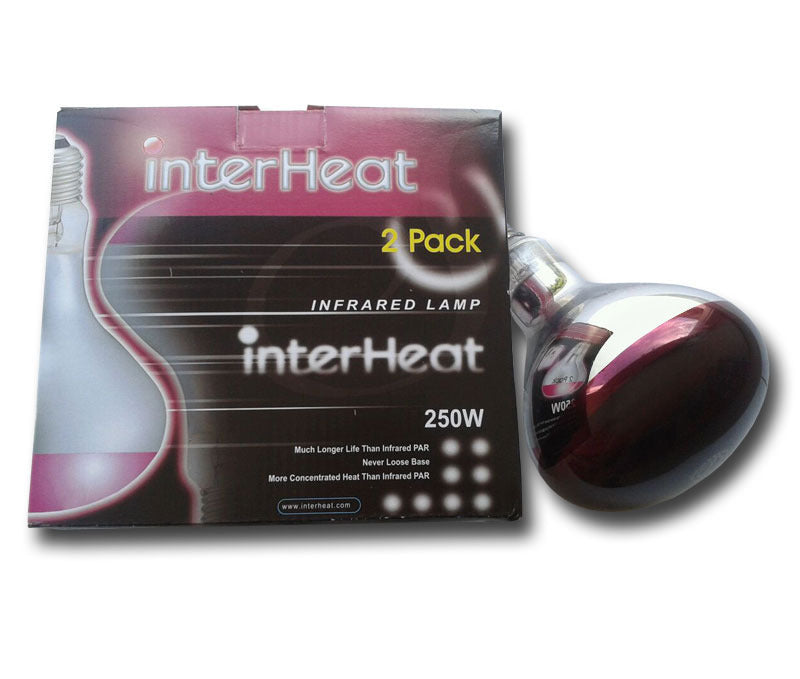 2 pack 250w Heat lamp Bulb