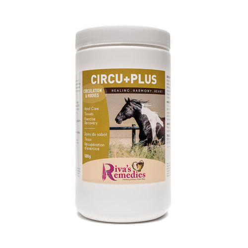 Rivas Circu+Plus