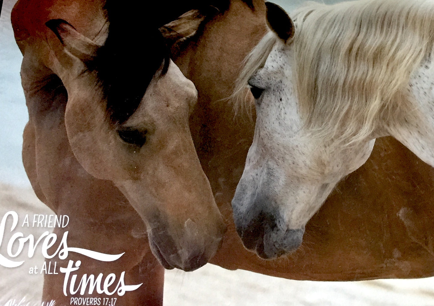 Mounted Art- At The Beach