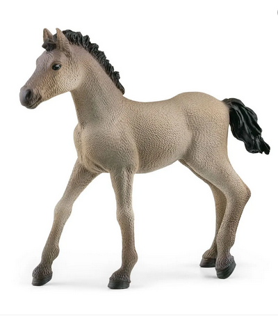 Criollo Definitivo Foal