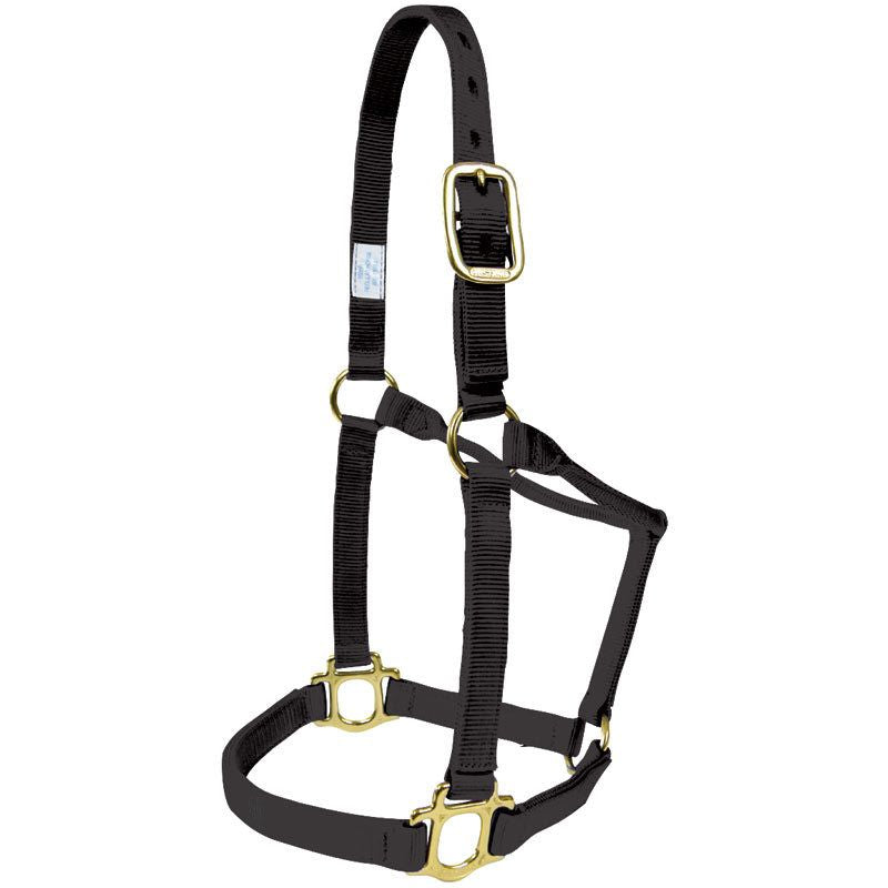 Hi-Brow Foal Halter