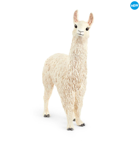 Alpaca