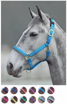Shires Nylon Breakaway Halter- COB