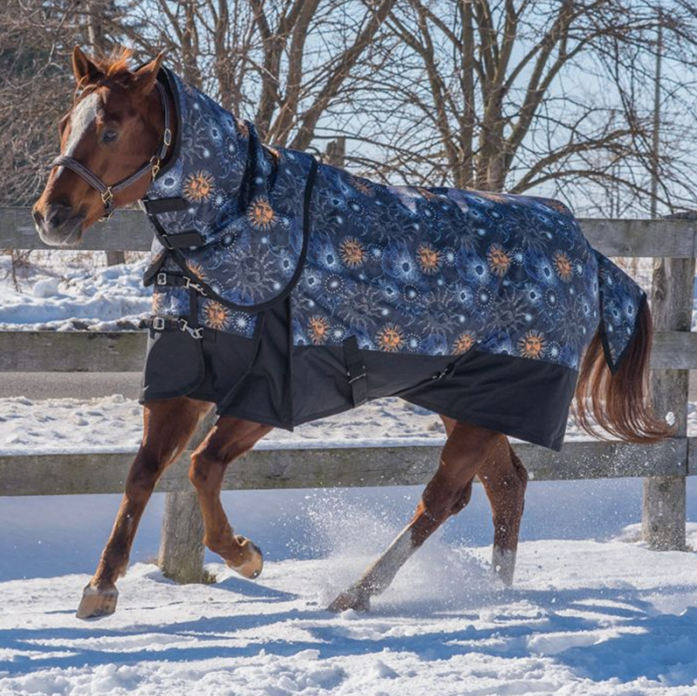 Canadian Horsewear Celestial Diablo Storm w/ Neck 160gm Fill