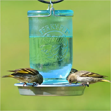 Perky Pet Mason Jar Waterer 32oz