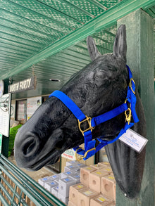 2 in 1 Halter/Bitless Bridle
