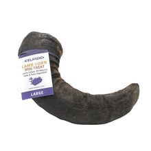 Icelandic Lamb Horn LG