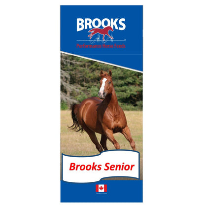 Brooks Senior Textured
