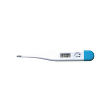 Digital Thermometer
