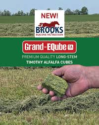 Brooks Grand EQ-Cube Timothy Alfalfa