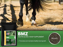 Purina BMZ