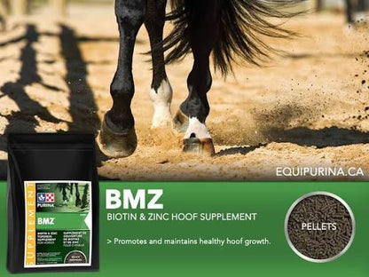 Purina BMZ