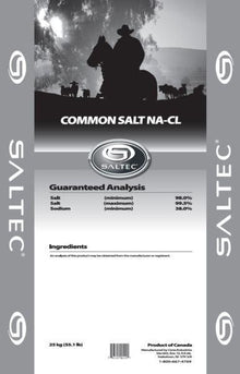 Loose Common Salt Bag 25kg