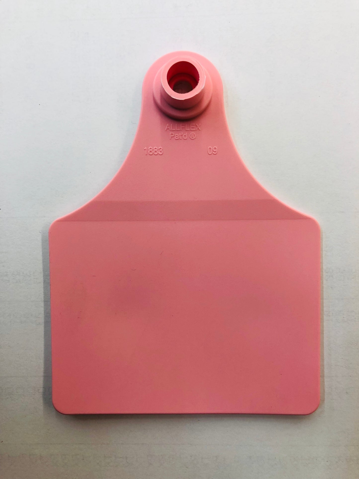 Allflex Tag