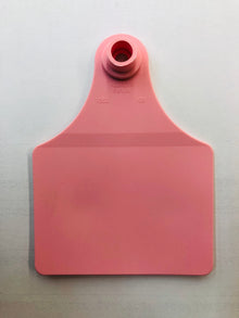 Allflex Tag