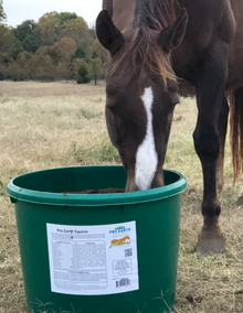Zesterra Equine Lick Tub