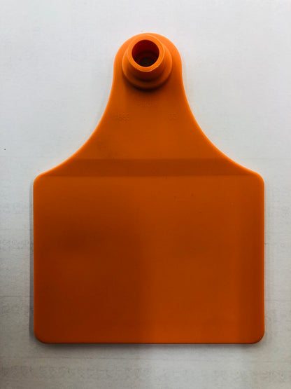 Allflex Tag
