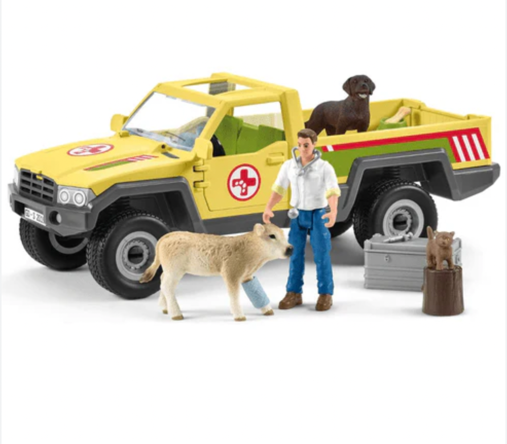 Veterinarian Visit to the Farm