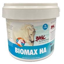 Basic Biomax HA, 1kg